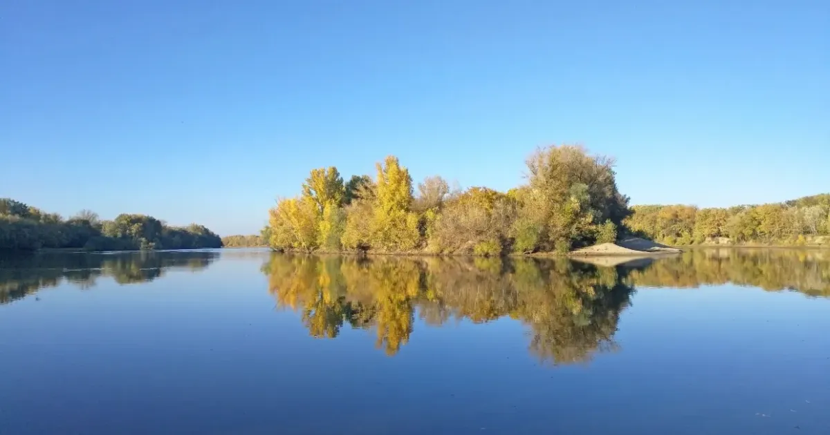 Вид на осенний лес через водную гладь реки