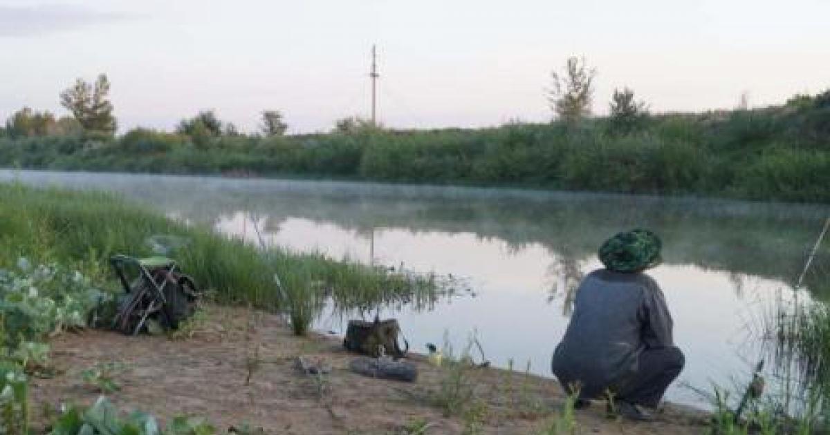 Ловля на донку