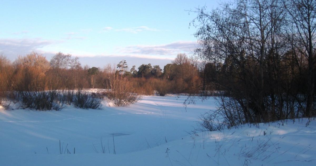 Ловля плотвы в глухозимье