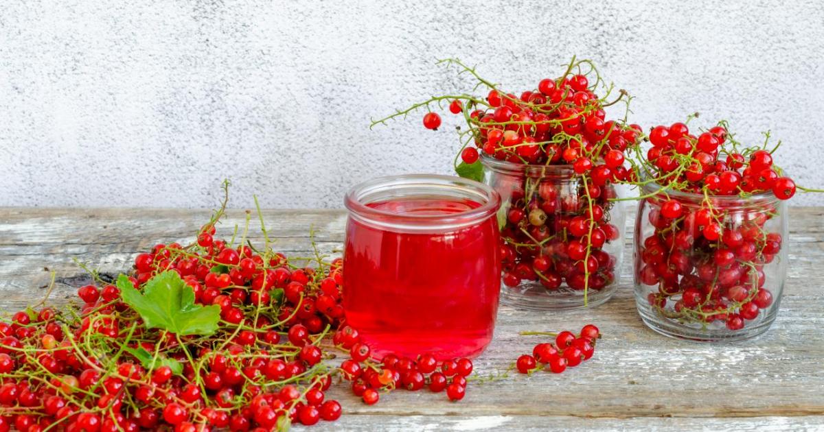 Ягоды красной смородины и сок