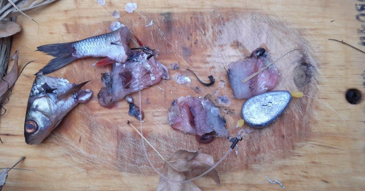 Нарезка из рыбы