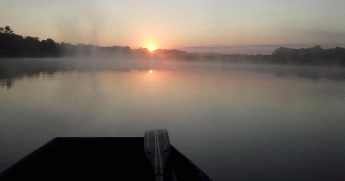 Утро на водоёме Трояновского