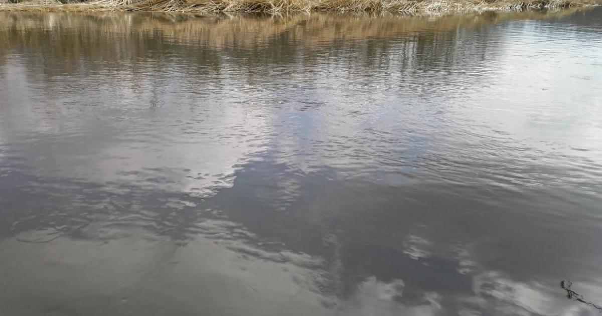 Уклейка по холодной воде. Отчет о рыбалке