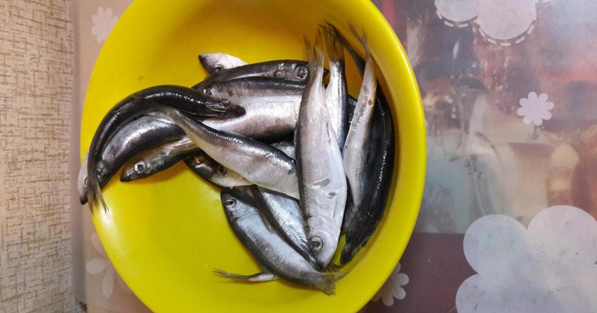 Салака пряного посола в домашних условиях